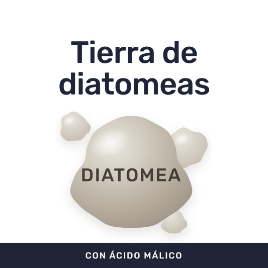 Keto Detox [90 Cápsulas] — imagen 2
