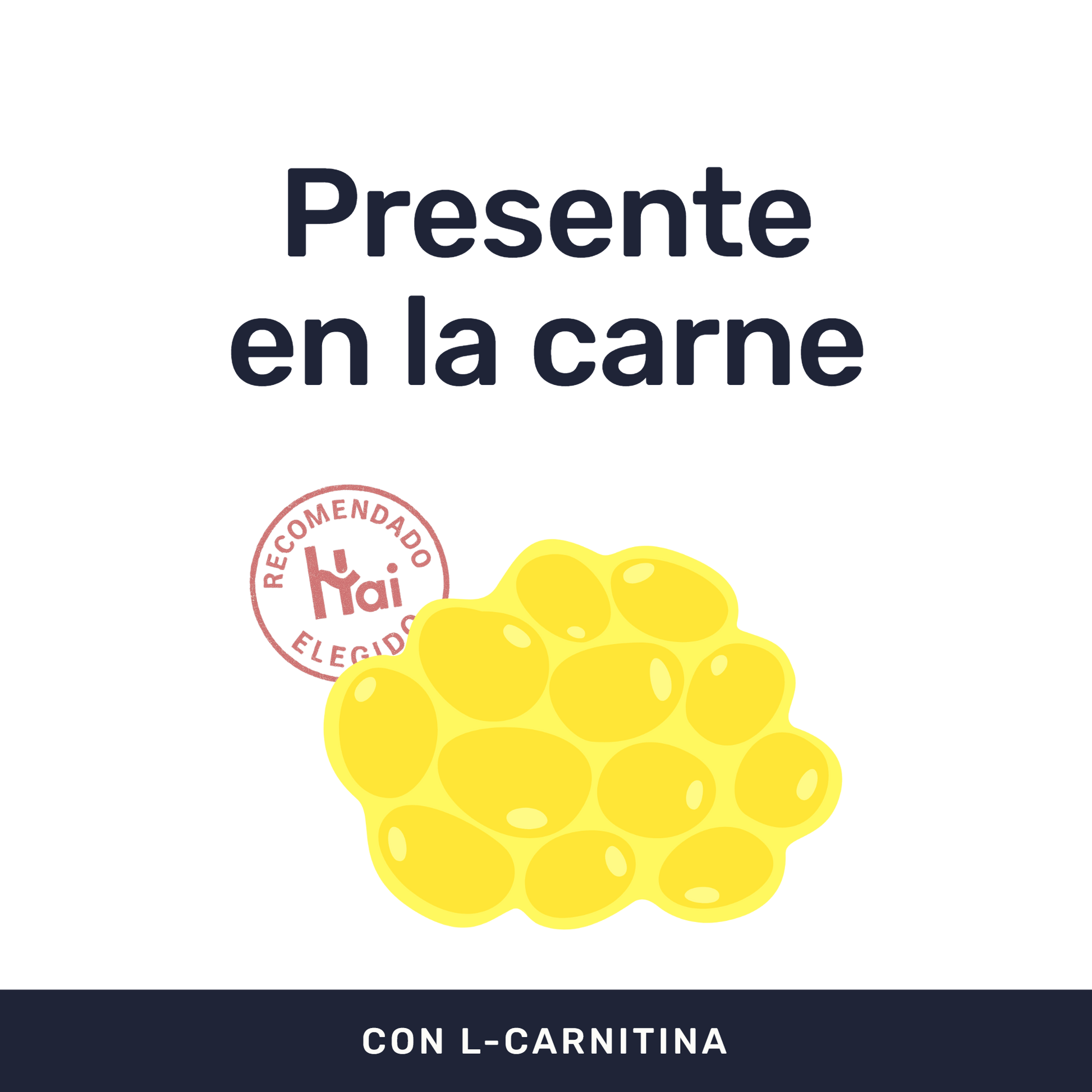 L-Carnitina 500 mg [90 cápsulas] — imagen 2