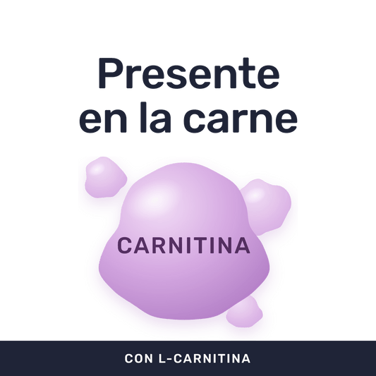 L-Carnitina 500 mg [90 cápsulas] — imagen 2