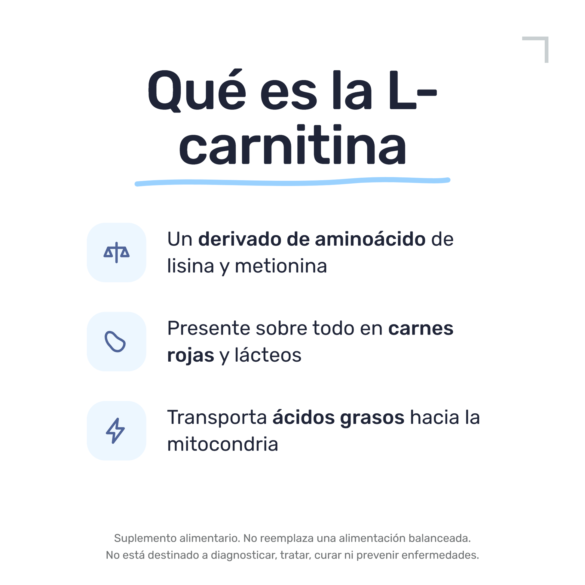 L-Carnitina 500mg [60 Cápsulas] — imagen 3