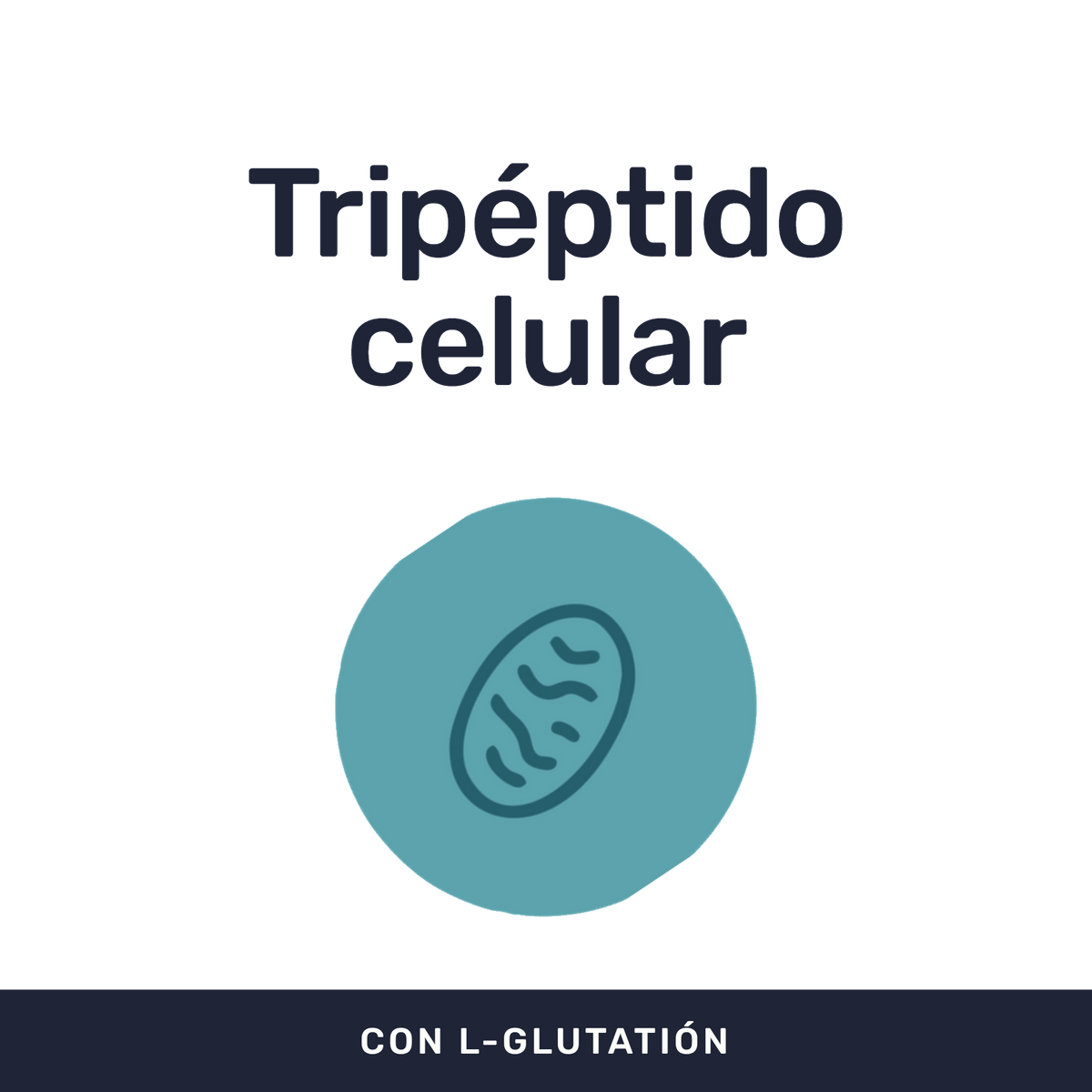 L-Glutation 500mg [90 cápsulas] — imagen 2