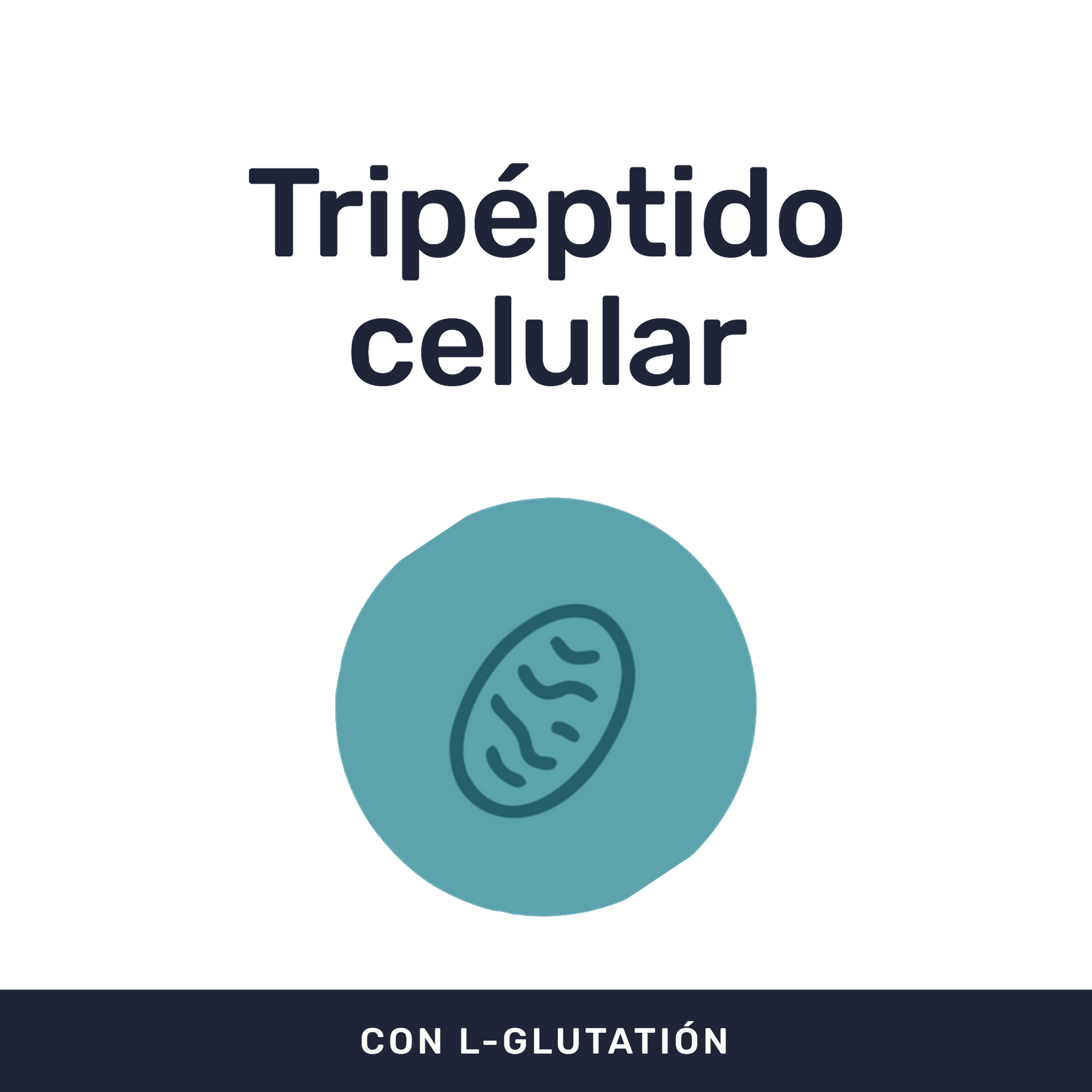 L-Glutation 500mg [90 cápsulas] — imagen 2