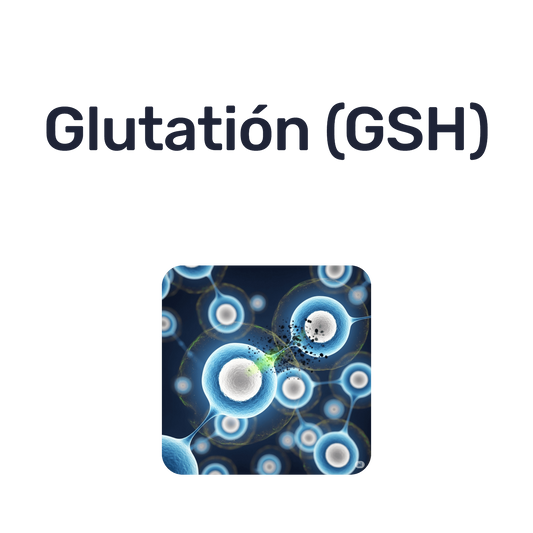 L-Glutation — Glutatión (GSH)