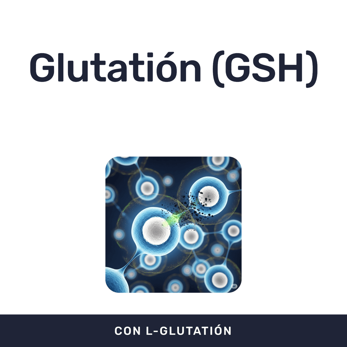L-Glutation [30 Cápsulas] — imagen 2