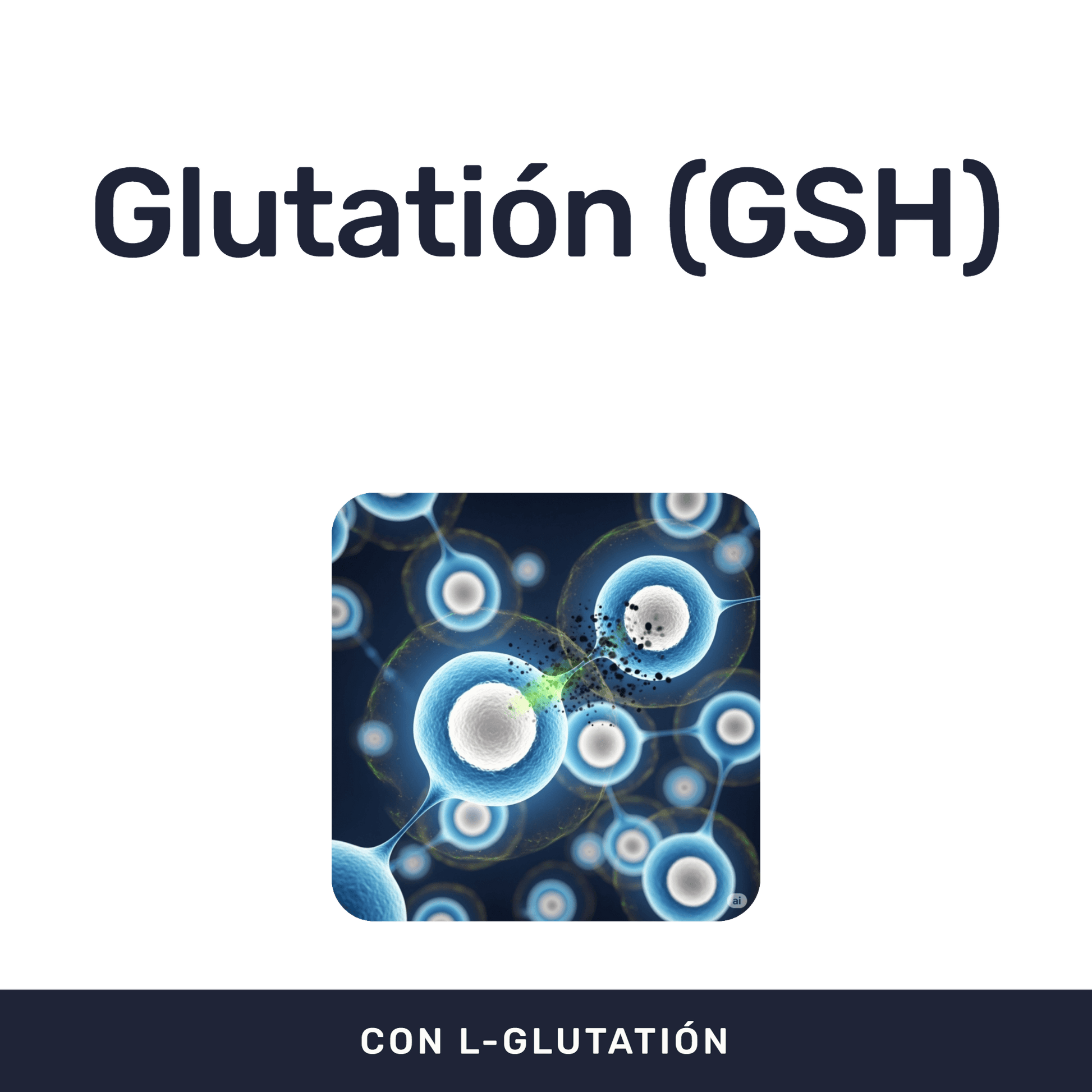 L-Glutation [30 Cápsulas] — imagen 2