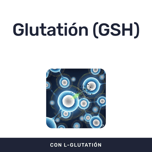 L-Glutation [30 Cápsulas] — imagen 2