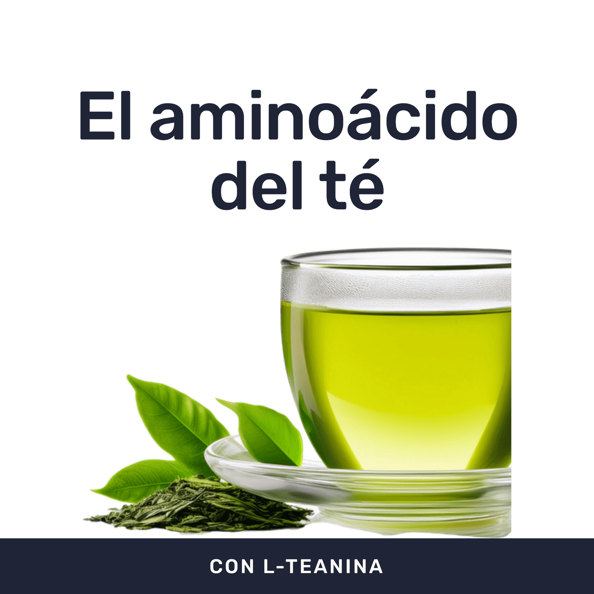 L-Teanina 200 mg [60 cápsulas] — imagen 2