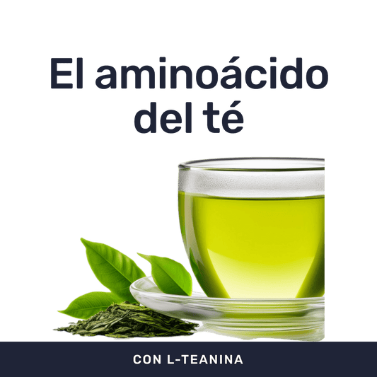 L-Teanina 200 mg [60 cápsulas] — imagen 2