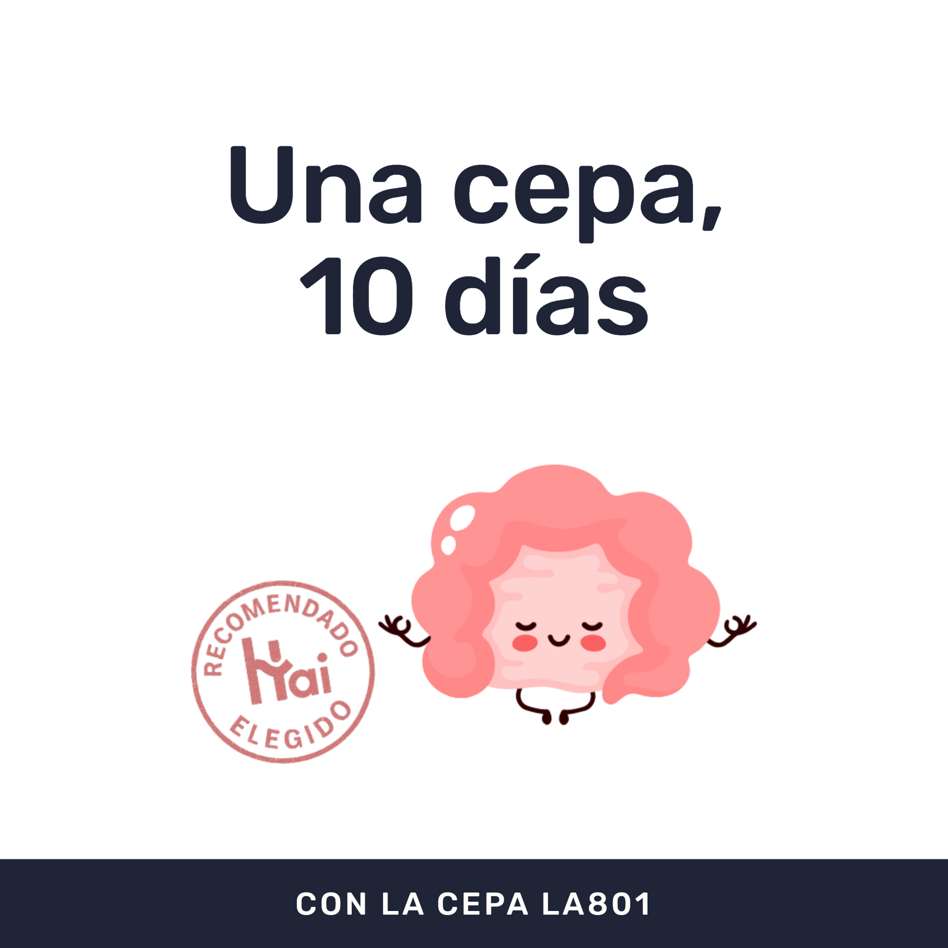 Lactibiane ATB [10 Cápsulas] — imagen 2