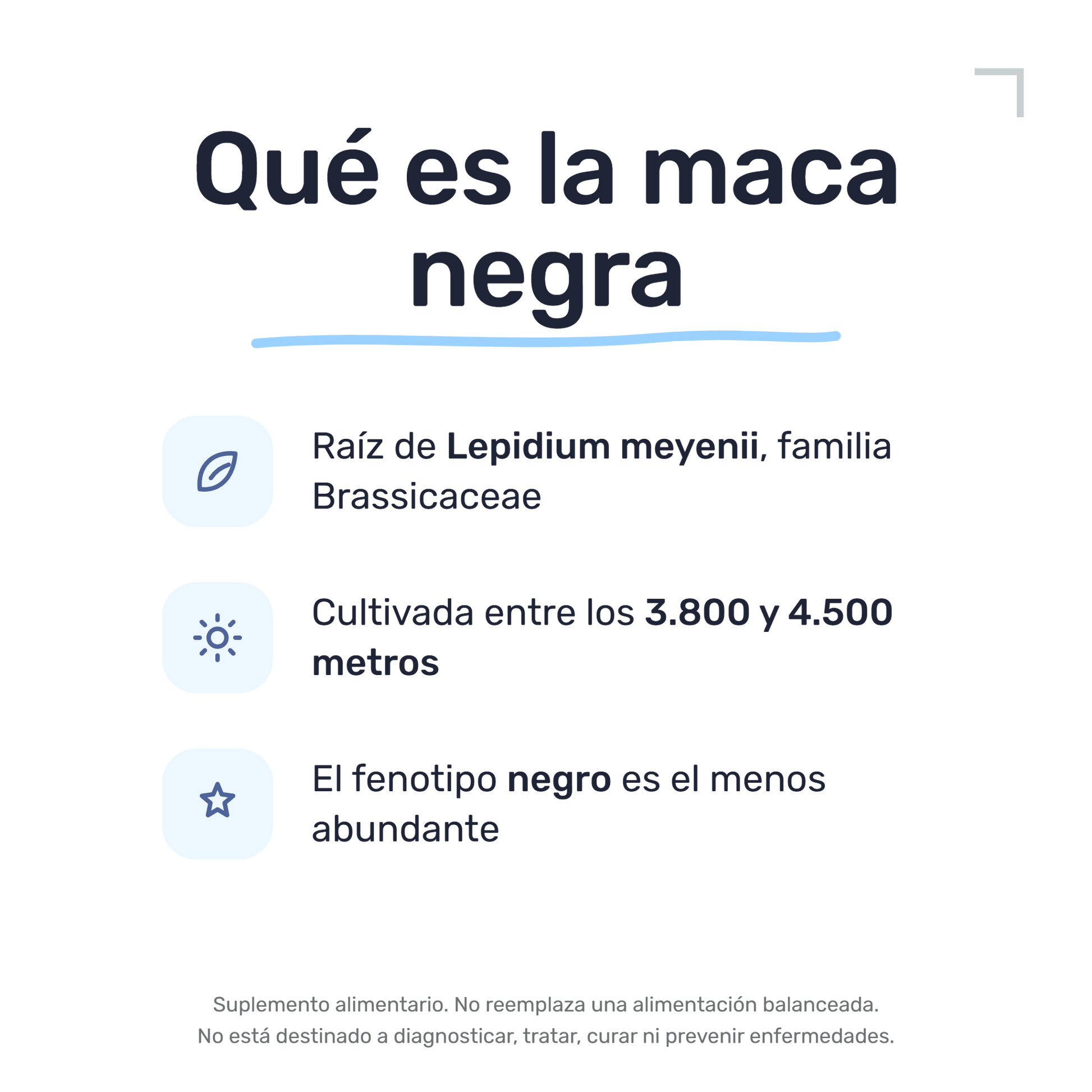 Maca Negra [90 Cápsulas] — imagen 3