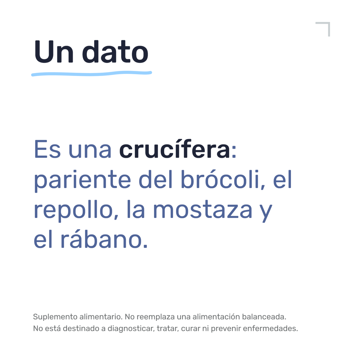 Maca Negra — Un dato: Es una crucífera: pariente del brócoli, el repollo, la mostaza y el rábano.