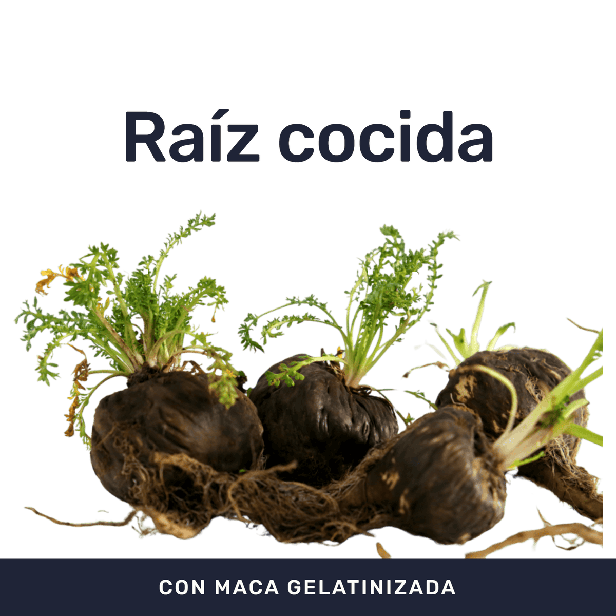 Maca Negra Gelatinizada 500 mg [60 Cápsulas] — imagen 2