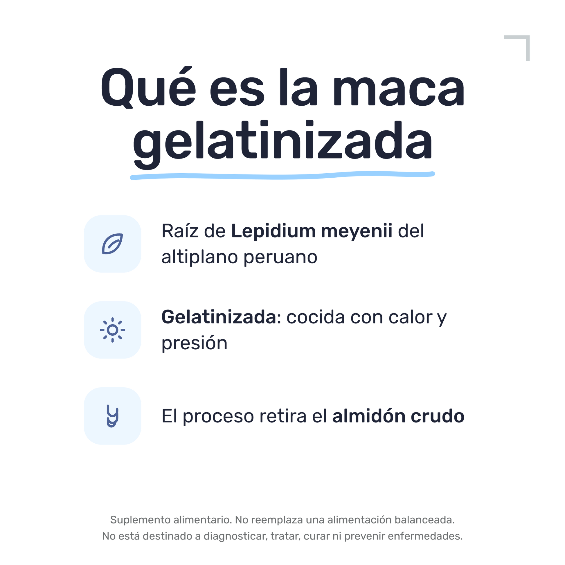 Maca Negra Gelatinizada 500 mg [60 Cápsulas] — imagen 3