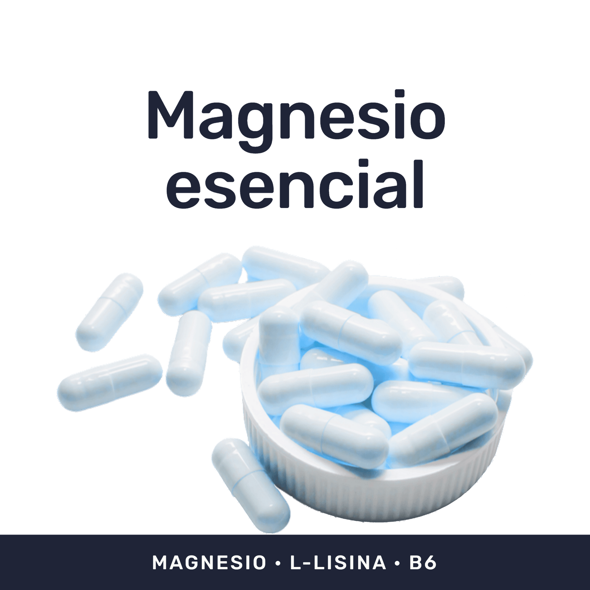 MagneZen — imagen 2