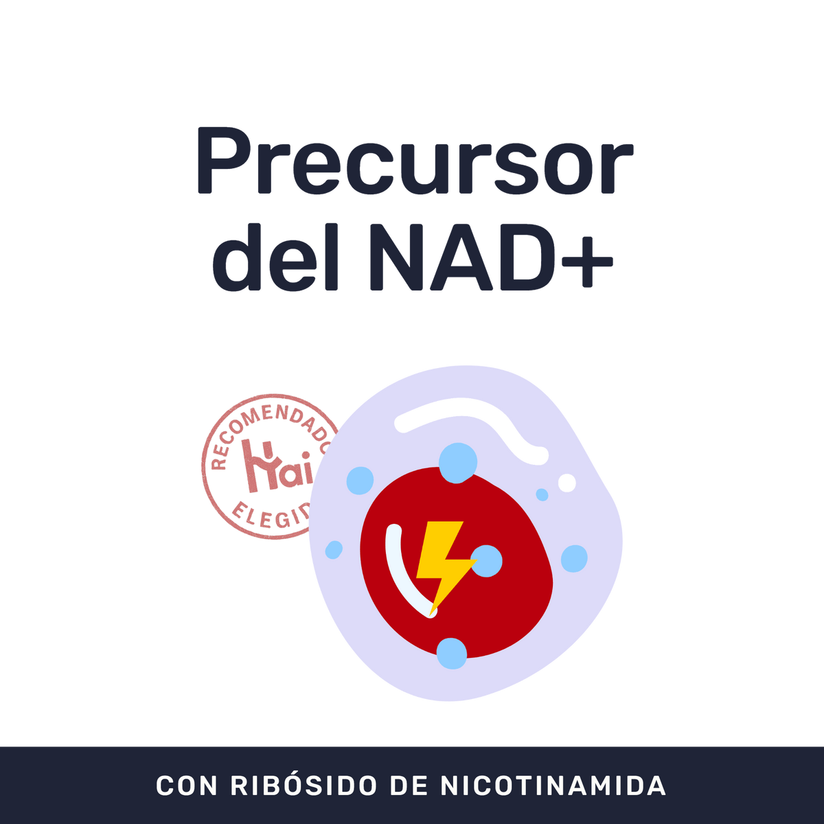 NAD+ [60 Cápsulas] — imagen 2