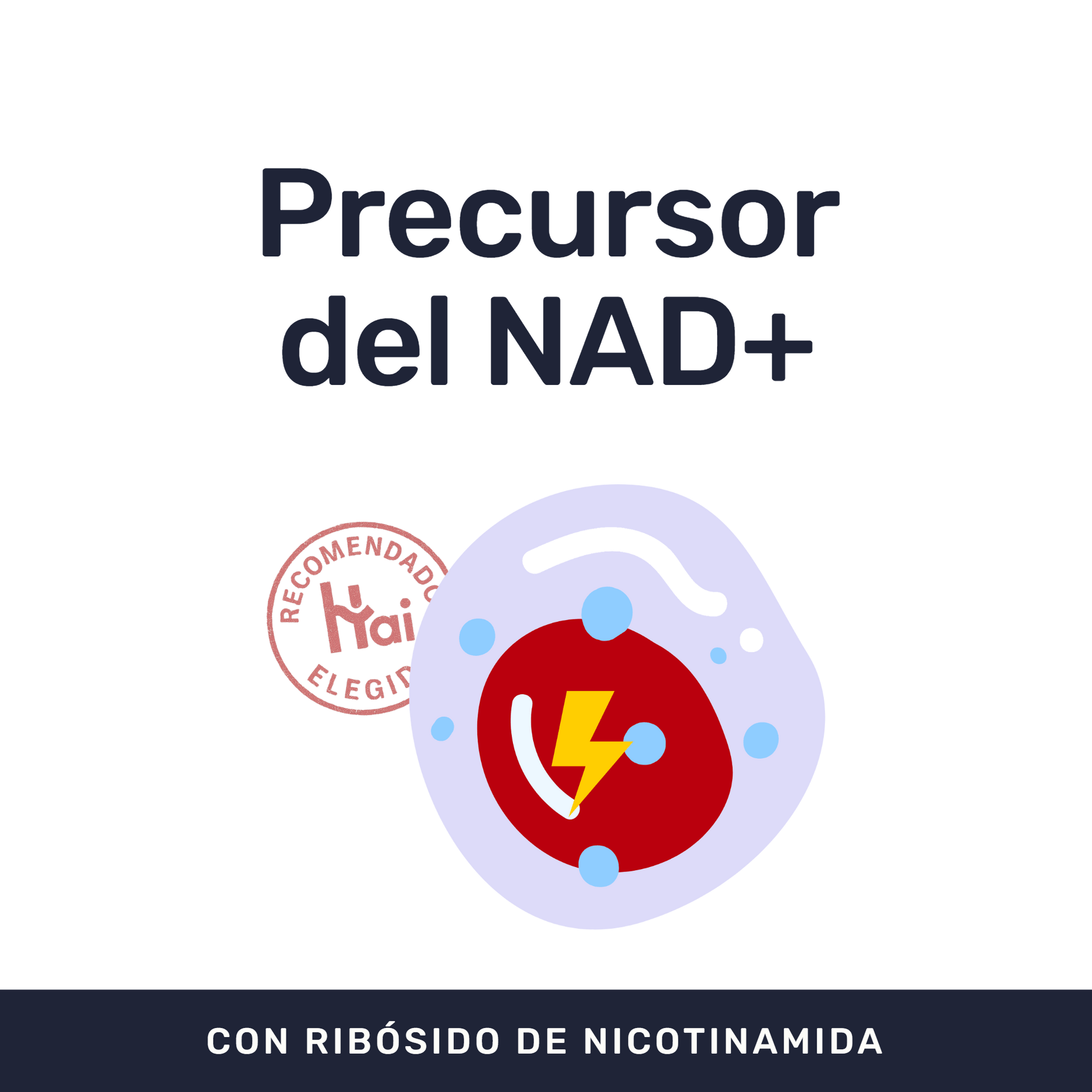 NAD+ [60 Cápsulas] — imagen 2