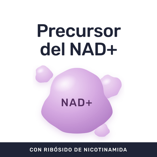 NAD+ [60 Cápsulas] — imagen 2