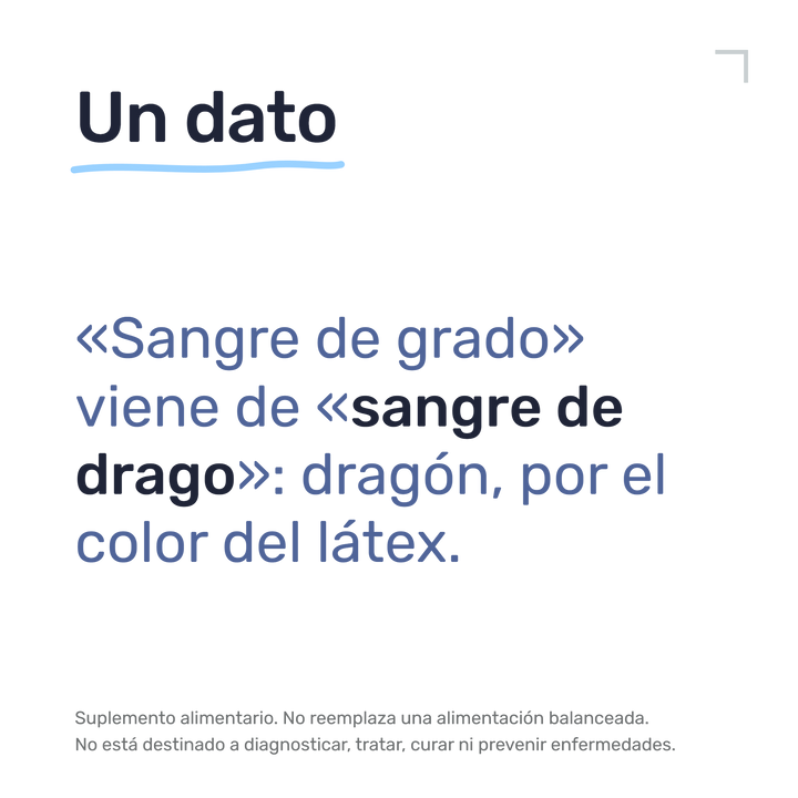 Sangre de Grado — Un dato: «Sangre de grado» viene de «sangre de drago»: dragón, por el color del látex.