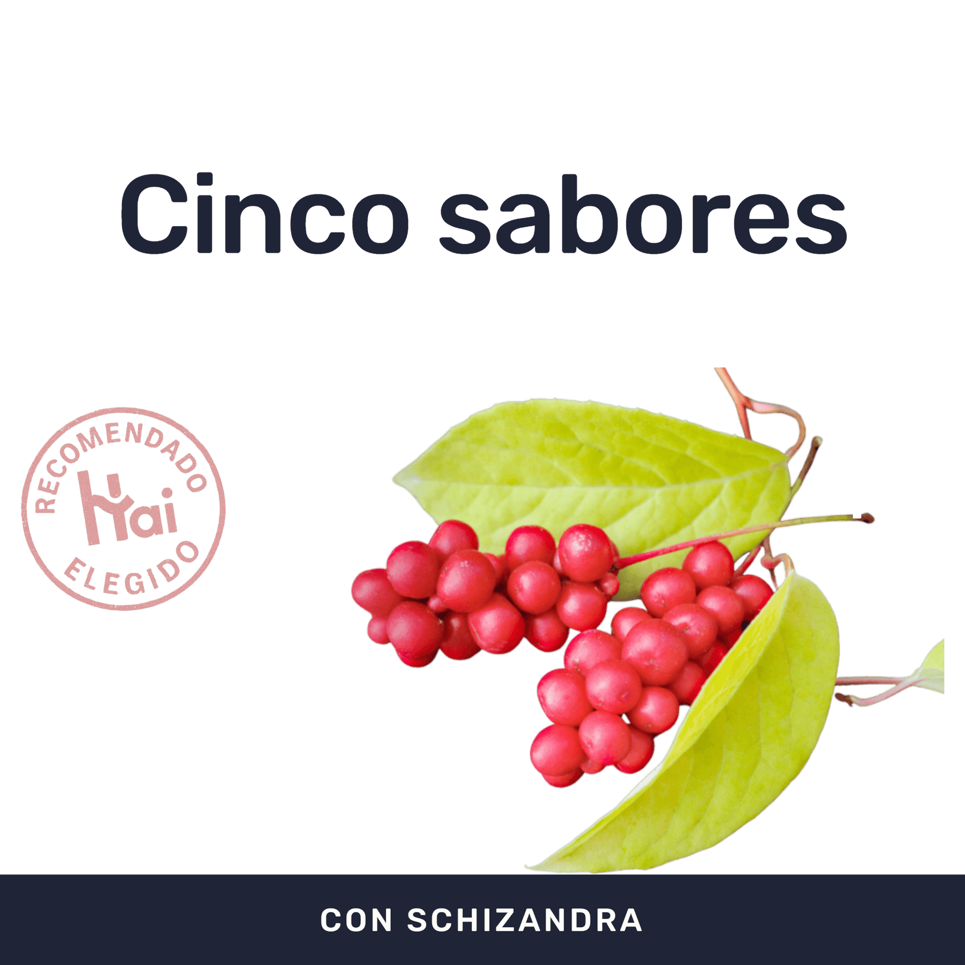 Schizandra [60 Cápsulas] — imagen 2