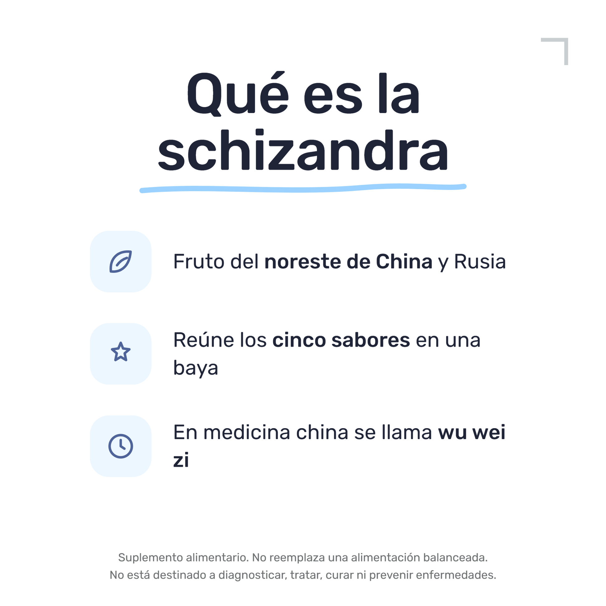 Schizandra [60 Cápsulas] — imagen 3