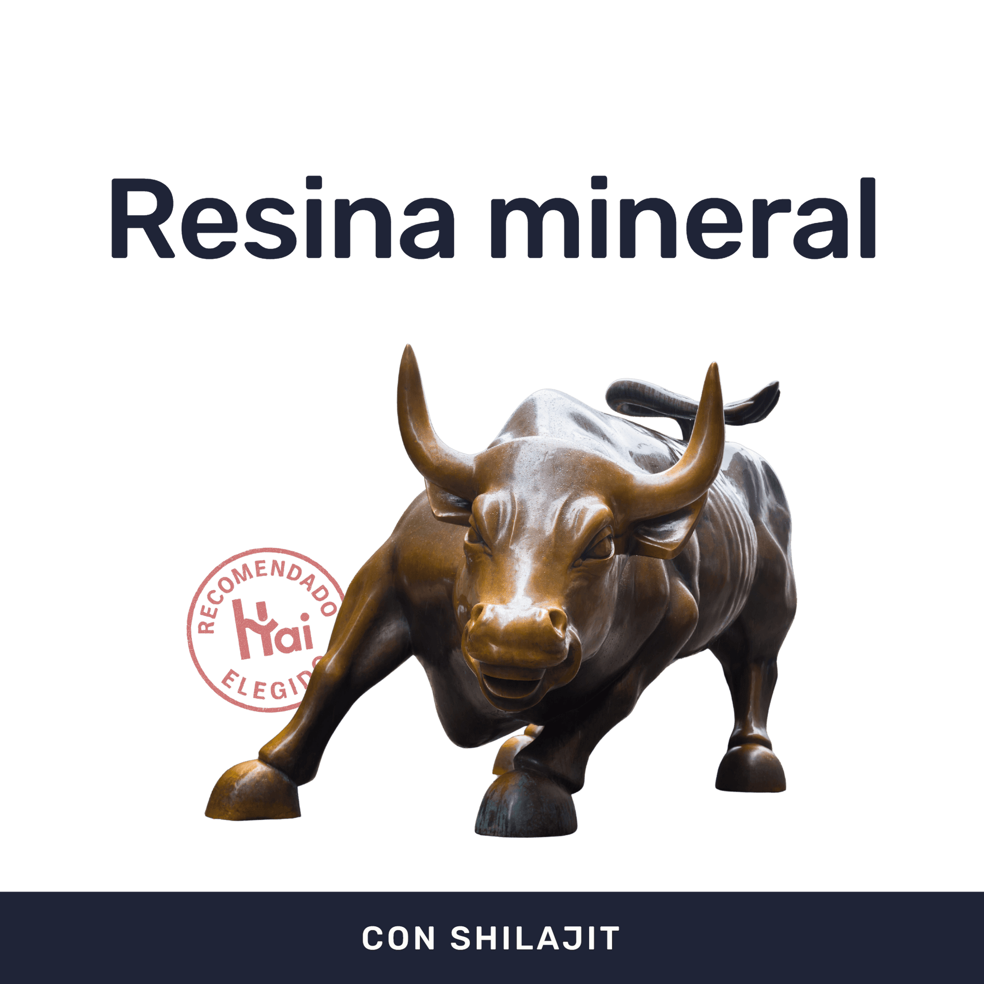 Shilajit 500mg [60 cápsulas] — imagen 2