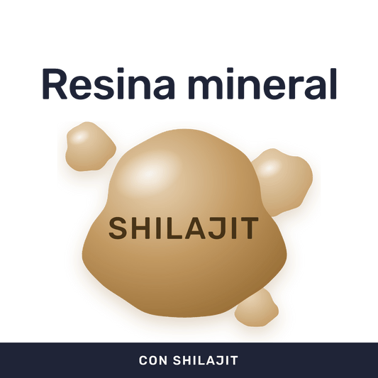 Shilajit 500mg [60 cápsulas] — imagen 2