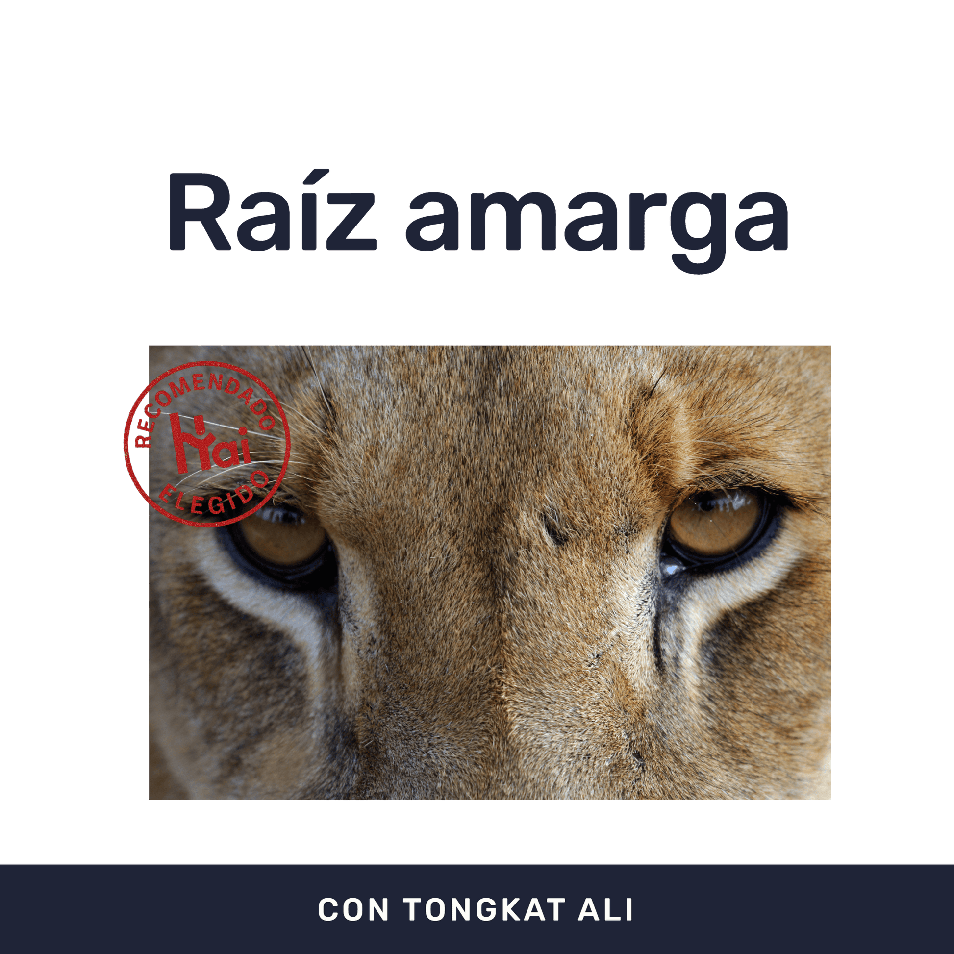 Tongkat Ali 500 mg [60 cápsulas] — imagen 2