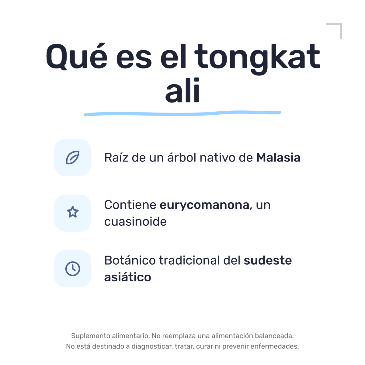 Tongkat Ali 500 mg [60 cápsulas] — imagen 3