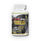 Tribulus [60 Cápsulas] — imagen 1