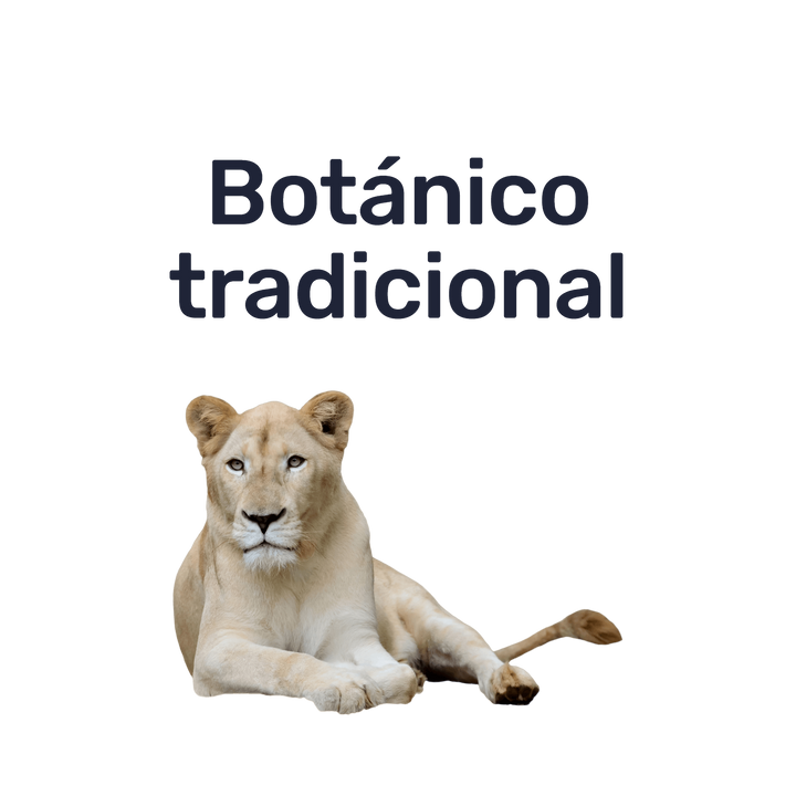 Tribulus — Botánico tradicional