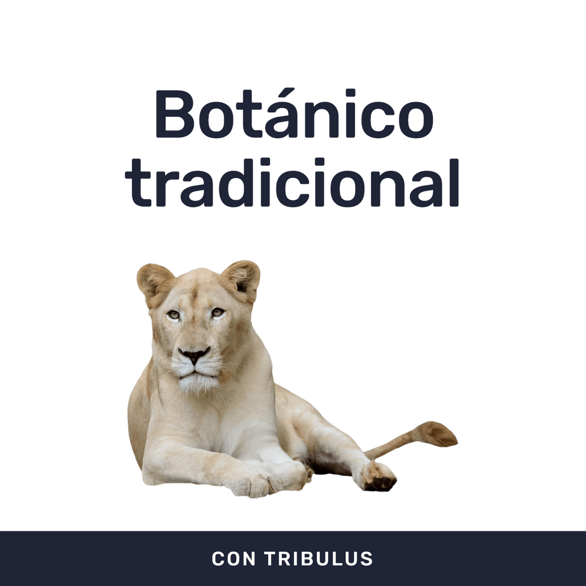 Tribulus [60 Cápsulas] — imagen 2