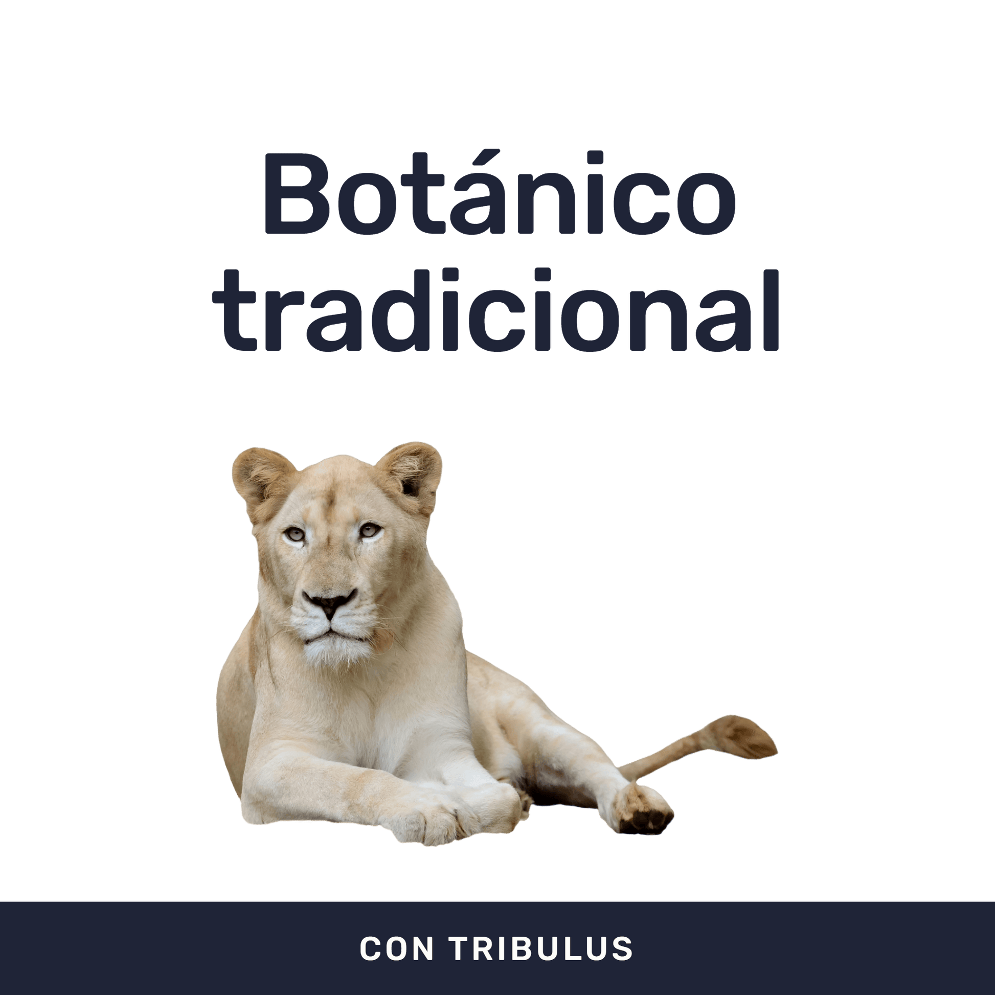 Tribulus [60 Cápsulas] — imagen 2