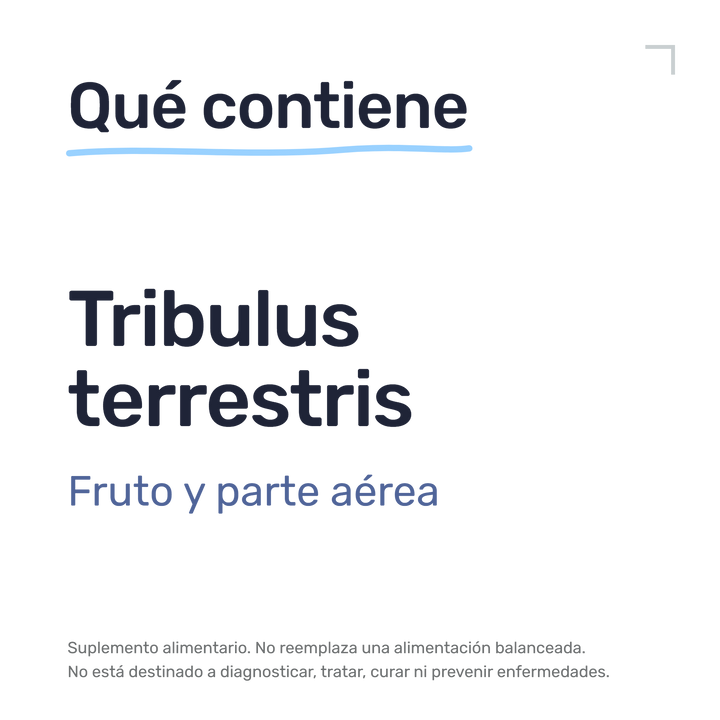 Tribulus — Qué contiene: Tribulus terrestris: fruto y parte aérea